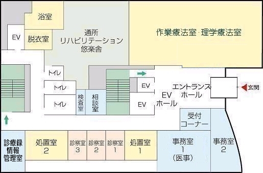 アレルギー 人間ドック リハビリ 喘息 花粉症 胃カメラ 中谷病院